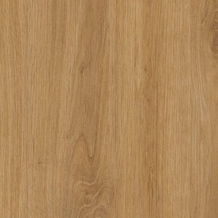 Amber Oak